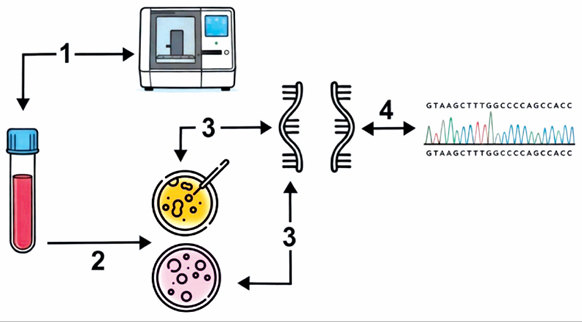 Изображение на обложке