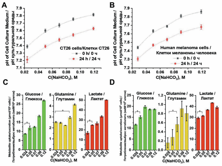 Изображение на обложке