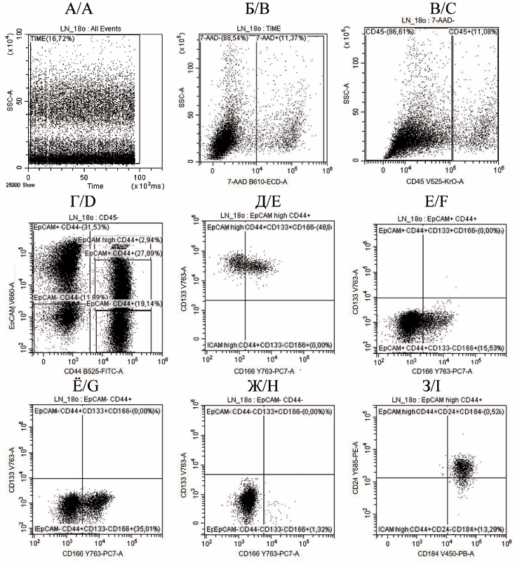 Изображение на обложке