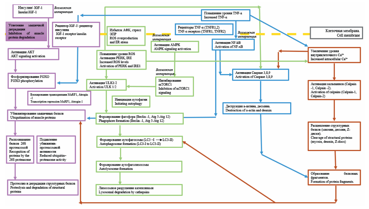 Изображение на обложке