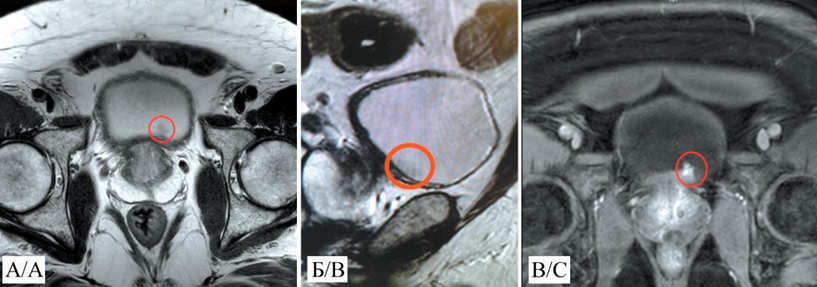 Изображение на обложке